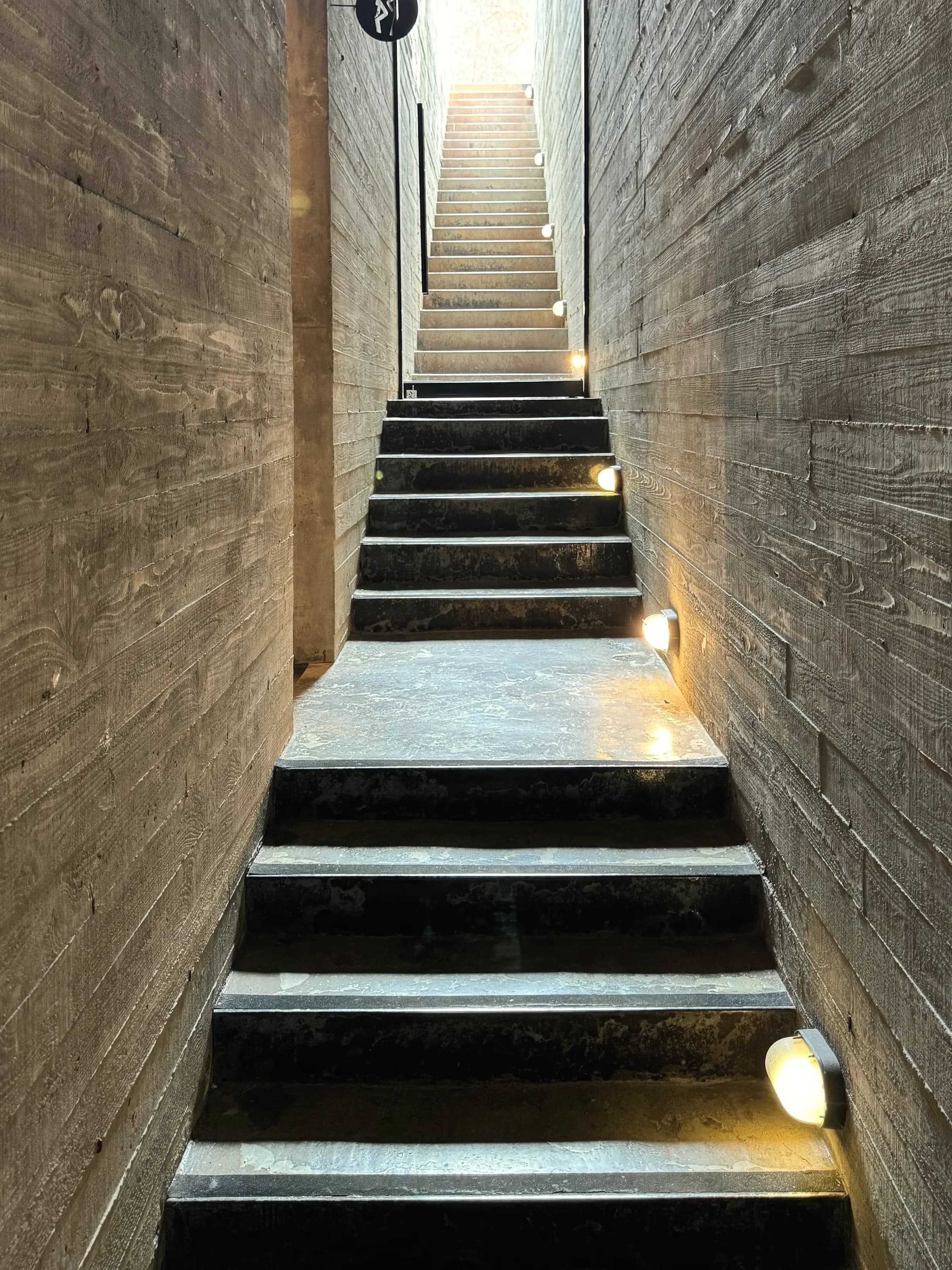 A concrete stair rising past recessed wall lights set flush into the flank.